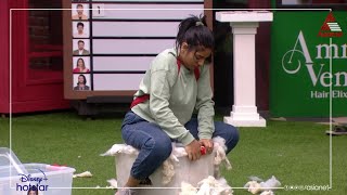 #BBMS5Tasks പഞ്ഞിവാരൽ കളിക്കിടയിൽ അല്പം കാലുവാരലും