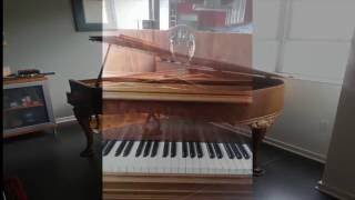 Piano Ivory keys chipped Fix