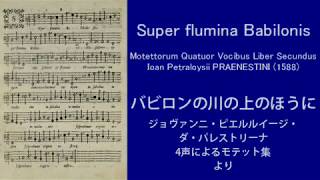 【ひとりでアカペラ】パレストリーナ　バビロンの川のほとりに　多重録音　Palestrina - Super flumina Babilonis - MTR