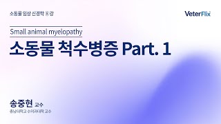 [베터플릭스][소동물 임상 신경학] 소동물 척수병증 Part 1(Small animal myelopathy)