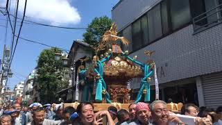 4K 沼袋氷川神社例大祭神輿渡御  （2019年8月）