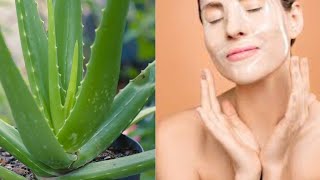 katraalai posuna mukam semaya irukkuma😗😘😍#Aloe vera#