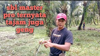 sbl master pro ternyata tajam juga geng