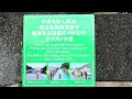 walking from 九號咖啡外澳館 to 外澳車站 u0026 外澳沙灘 feb 03 2025