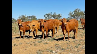 ‘Leebrook’ 1760 Leebrook Road, Muttaburra, Queensland