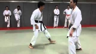 Shitokai Karate Woluwe - Sensei Thierry Van Binst