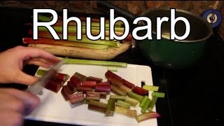 Harvesting Rhubarb and making Rhubarb Sauce - Rhubarb Sauce Recipe :-)