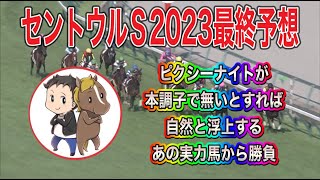 セントウルステークス2023最終予想【ピクシーナイトが本調子で無いとすれば自然と浮上するアノ馬から勝負】