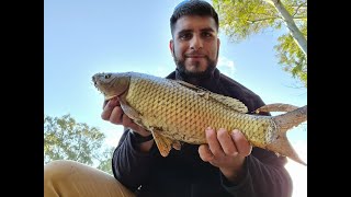 PESCA MISTA ALL' EKO LAGO MANZOLINI