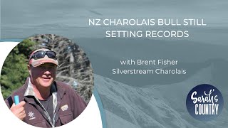 “NZ Charolais bull still setting records” with Brent Fisher