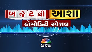 Budget 2025 News: Commodity Market માટે આ Budget માં શું ખાસ જાહેરાતો હશે?| Budget news | Commodity