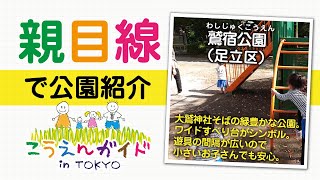 「足立区鷲宿公園」は足立区の北端、大鷲神社のそばにある緑豊かな公園。南北に細長い形で北側は緑地になっています。ワイドすべり台がシンボルで、遊具との間隔が広いので小さいお子さんでも安心して遊べます。