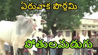 పోతులమడుగు Farmers Grandly Celebrated Eruvaka Pournami | 2018 | ఏరువాక పౌర్ణమి