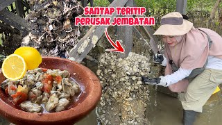 INI HAMA TERLEZAT DI DUNIA‼️Teritip Perusak Jembatan Diolah Jadi Menu Spesial