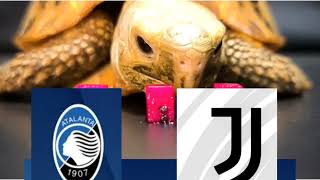 Atalanta vs Juventus Prediction - Serie A - Turtle Prediction