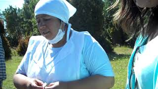 CHILE—medicinal plants for healing