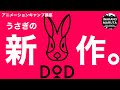 DODの新作キャンプギアの魅力にメロメロになった話【キャンプ道具】