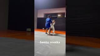 Sambo sxvatka