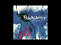 buckcherry s crazy bitch but instead it s about a gay man coming to terms with being into traps.