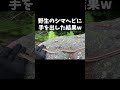 野生のシマヘビに手を出した結果w