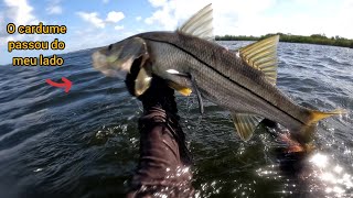 Pesca sub, Robalo, Paru e Curimã ( Tainha ).