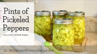 Canning  Hot Pepper Rings | NO PROCESSING