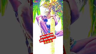 এটা নাকি অফিস।#viralvideo #funny #comedy #funnyvideos #youtubeshorts #love #trending