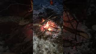 Solo Camp with Two Big Dogs - Winter Night after Snowstorm #shorts #camp #camping #dogs #winter