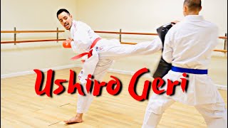 USHIRO GERI TUTORIAL (Spinning Back Kick)