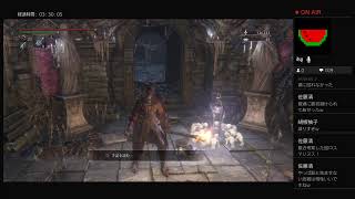 bloodborne 脳筋キャラ育成 ブラッドボーン