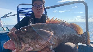 alphatackle DeepOdyssey Model TT with 600MJ test field Grouper at Boat Seagull by Team SilibinTackle