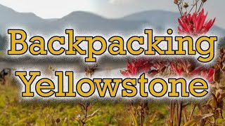 Backpacking Yellowstone National Park | 2018 | WWT Ep 15: Poacher's Trail Through The Backcountry