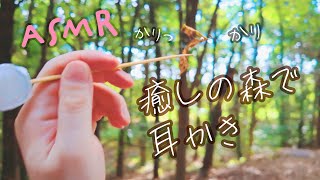 ASMR 癒しの森でセラピー耳かき (Public・お散歩)