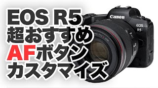 【Canon】キヤノンEOS R5、R6超絶おすすめAFボタンカスタマイズを紹介！「人か、人以外か。」