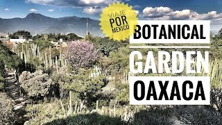 OAXACA BOTANICAL GARDENS