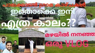 പാലക്കാടൻ ഗ്രാമ ഭംഗിയും പഴമ നിറഞ്ഞ തറവാടും || beautiful village in palakkad ||