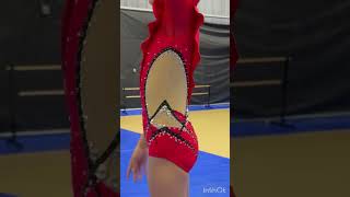 https://leotardsbyira.etsy.com #leotards #orlandocup #gymnastics #rhythmicgymnastics