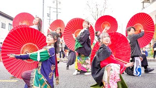 [4K] かさーず　瑞浪バサラカーニバル 2024（バサカニ） 公園通線南会場 (投げ入れタイム) (中央)