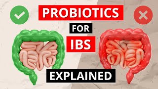 Irritable Bowel Syndrome (IBS): Do PROBIOTICS For IBS Work?