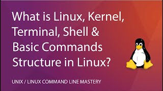 What is Linux, Kernel, Terminal, Shell and Basic Commands Structure in the Linux Shell?