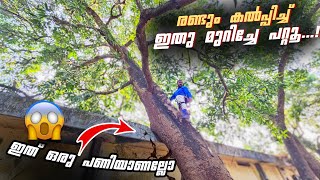 കിടക്കുന്ന കിടപ്പ് കണ്ടോ‼️ ചാഞ്ഞു കിടന്ന ഈ മാവ് electric line നു മുകളിലും എത്തി 😮 Village woodpecker