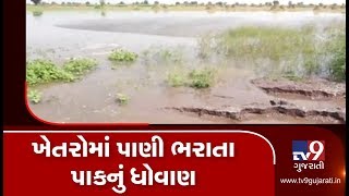 Narmada canal water enters farms in Botad, farmers chant Ramdhun against govt | TV9GujaratiNews