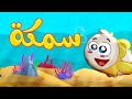 سمكة - قناة بلبل  BulBul TV