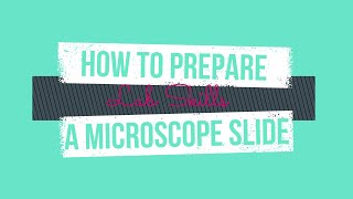 How to Prepare a Microscope Slide (Onion and Cheek Cell) | Cambridge AS Biology Paper 3 Lab Skills