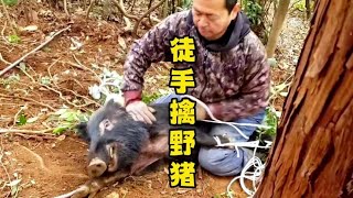 #国外合法狩猎 #神奇动物在抖音 #纪录片充电计划 #户外 #野猪