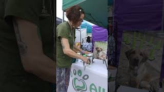 Allure Integrated Pet Specialists at New Braunfels Petfest