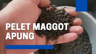 CARA MEMBUAT PELET MAGGOT: PART#2 MENCETAK PELET