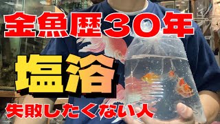 金魚30年間で買って良かった用品、金魚のトリートメント水槽で有ると便利な商品紹介   塩分濃度計　塩水浴 タイ産東錦5匹　きんぎょの飼育方法、きんぎょの飼い方