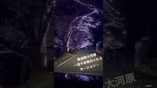 宮城県大河原イルミネーション