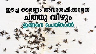 ഈച്ച ഒരെണ്ണം അവശേഷിക്കാതെ ചത്തുവീഴും ഇങ്ങനെ ചെയ്‌താൽ